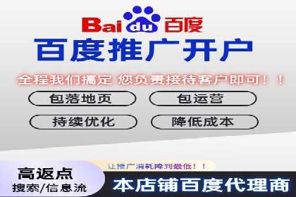 某电商平台的SEM优化托管实践与效果评估
